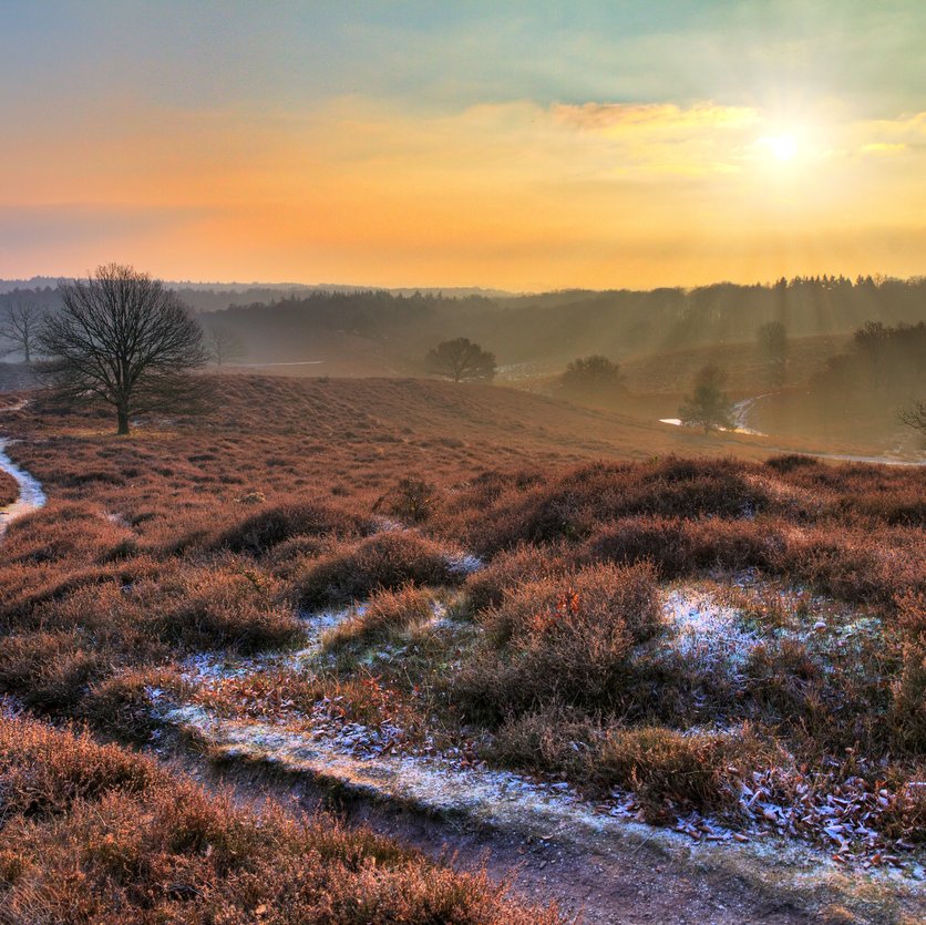 Winterarrangementen bij Bilderberg